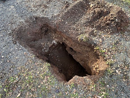 Erdloch am Königshof in Nordhausen (Foto: LPI) Erdloch am Königshof in Nordhausen (Foto: LPI)