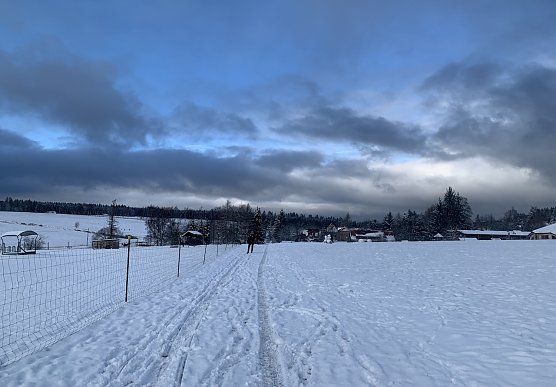 Symbolbild Schnee (Foto: Eva Maria Wiegand) Symbolbild Schnee (Foto: Eva Maria Wiegand)