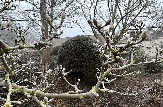 Die N&auml;chste bleiben weiter frostig (Foto: oas)