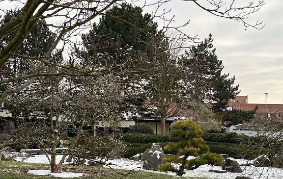 Warten nah den Frühling: Japanischer Garten Bad Langensalza (Foto: oas) Warten nah den Frühling: Japanischer Garten Bad Langensalza (Foto: oas)