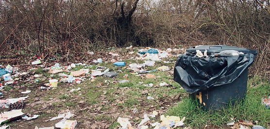 M&uuml;llchaos an der Betonstra&szlig;e, Archivbild (Foto: nnz-Archiv)