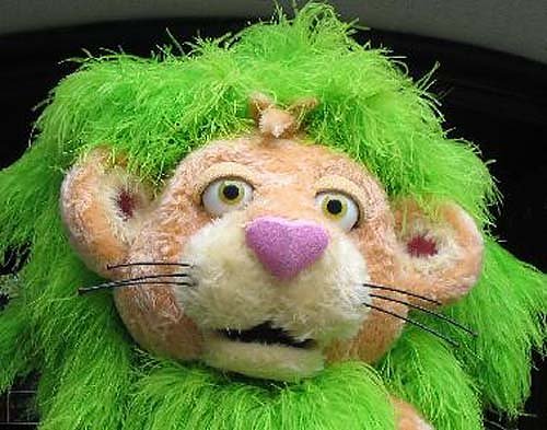 graslöwe (Foto: privat) graslöwe (Foto: privat)