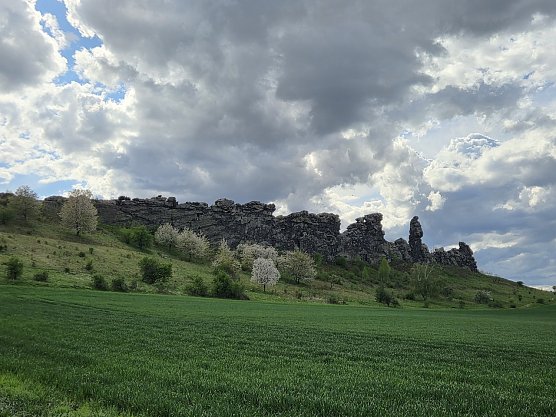 Momentaufnahme von der Teufelsmauer bei Weddersleben (Foto: Dirk Schwarze)