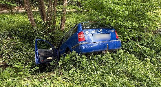 Flussfahrt gestern Nachmittag (Foto: S.Dietzel) Flussfahrt gestern Nachmittag (Foto: S.Dietzel)