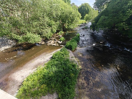 Zustand an der Zorgepromenade (Foto: Peter Blei) Zustand an der Zorgepromenade (Foto: Peter Blei)