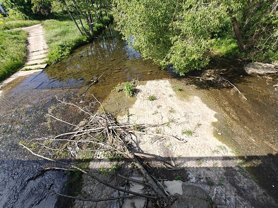 Kaum noch Durchfluss an der Zorge (Foto: Peter Blei) Kaum noch Durchfluss an der Zorge (Foto: Peter Blei)