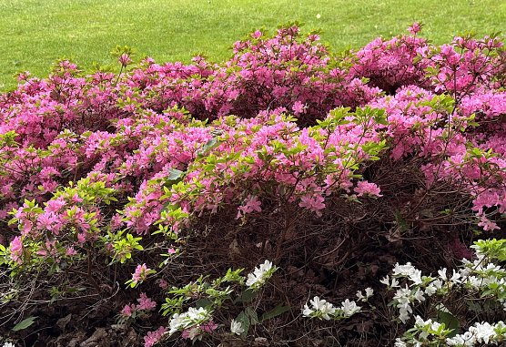 Gegen Abend kann wieder regen einsetzen (Foto: oas)