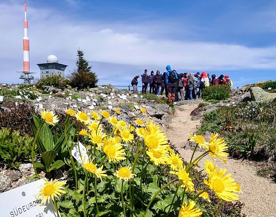 Humboldtianer auf dem Brocken (Foto: K.Schanz) Humboldtianer auf dem Brocken (Foto: K.Schanz)