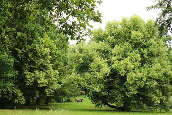 Wetterbild (Foto: agl) Wetterbild (Foto: agl)