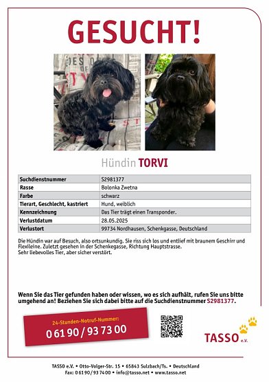 Tasso-Steckbrief zu Torvi (Foto: K. Köster) Tasso-Steckbrief zu Torvi (Foto: K. Köster)