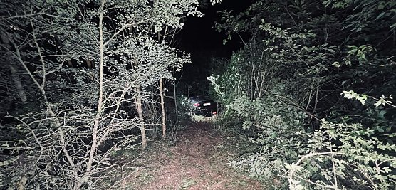 Auf Abwegen ging es bei G&ouml;rsbach durch die Hecke (Foto: S. Dietzel)