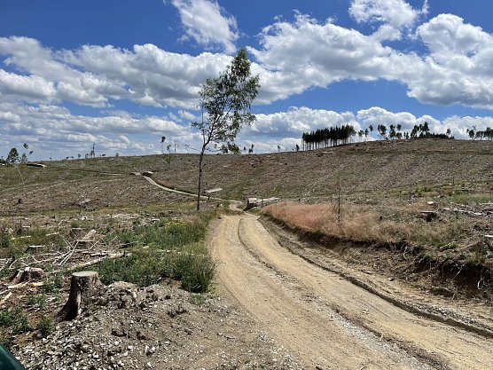 Blick auf das m&ouml;gliche Baufeld (Foto: wpd onshore GmbH)