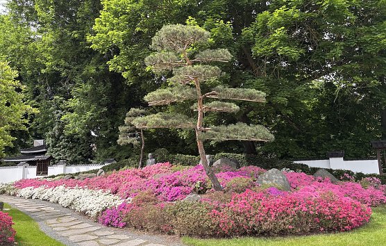 Lichterfest am 12. Juli im Japanischen Garten (Foto: oas) Lichterfest am 12. Juli im Japanischen Garten (Foto: oas)