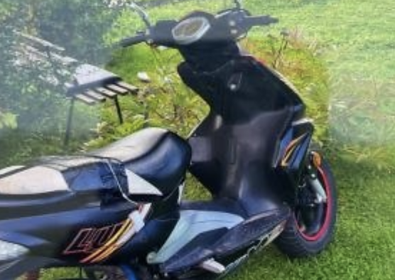 Wer hat diesen Roller gesehen? (Foto: LPI) Wer hat diesen Roller gesehen? (Foto: LPI)