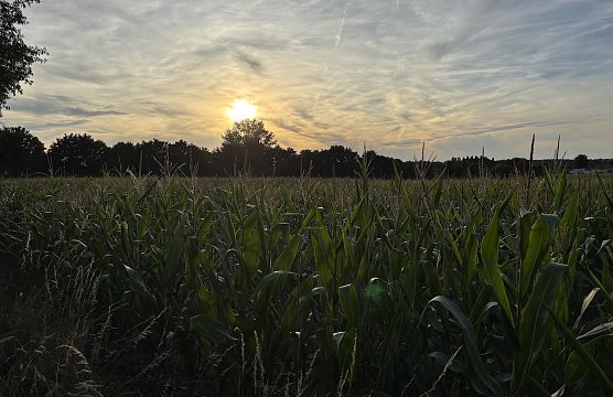Die n&auml;chsten Tage werden regnerisch (Foto: oas)