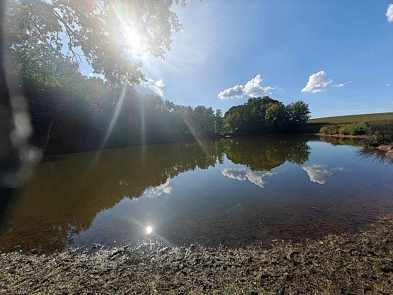 Peter Blei unterwegs am Wiesenteich (Foto: Peter Blei)