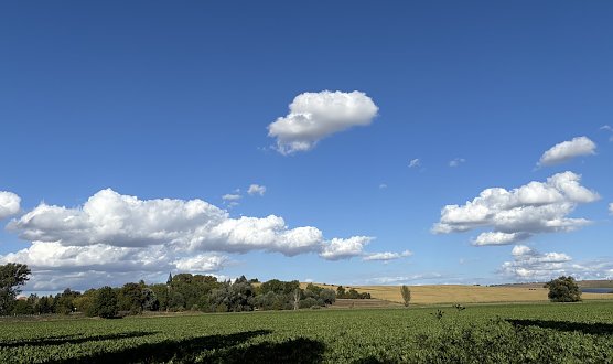 Ein sommerliches Wochenende steht uns bevor (Foto: oas)