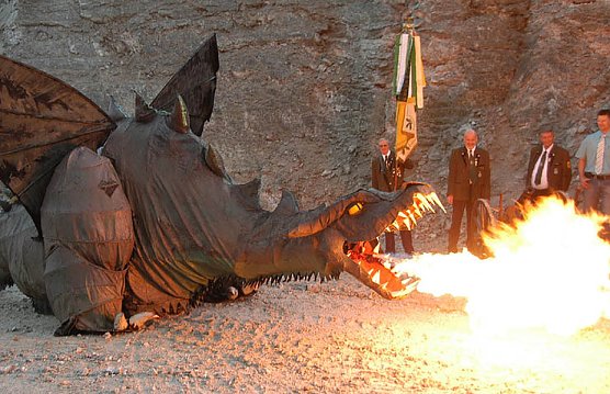 Fangdorn ist eingeflogen (Foto: nnz)