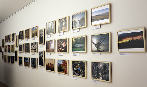 Fotoausstellung zum Leben am Wasser in der Stadtbibliothek (Foto: LPV Südharz/ Kyffhäuser) Fotoausstellung zum Leben am Wasser in der Stadtbibliothek (Foto: LPV Südharz/ Kyffhäuser)