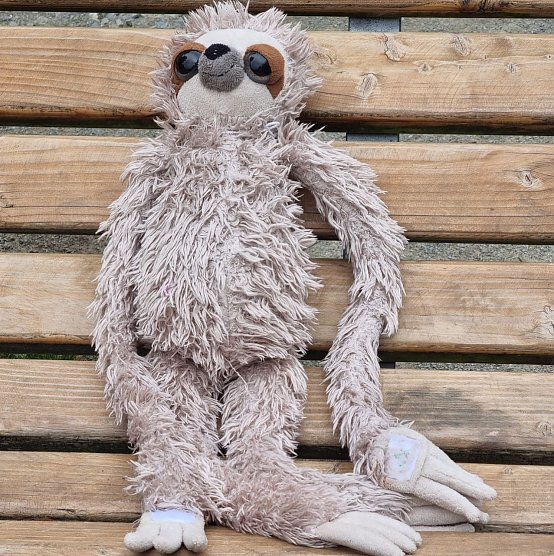 Zu faul, um mit Freya Rosemarie wieder nach Hause zu gehen: Kuscheltier, im Park Hohenrode gefunden (Foto: A.Schr&ouml;ter)