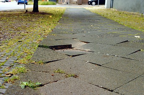 Stolpersteine (Foto: WF) Stolpersteine (Foto: WF)