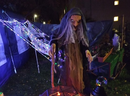 Halloween in Sollstedt (Foto: F.Heydecke) Halloween in Sollstedt (Foto: F.Heydecke)