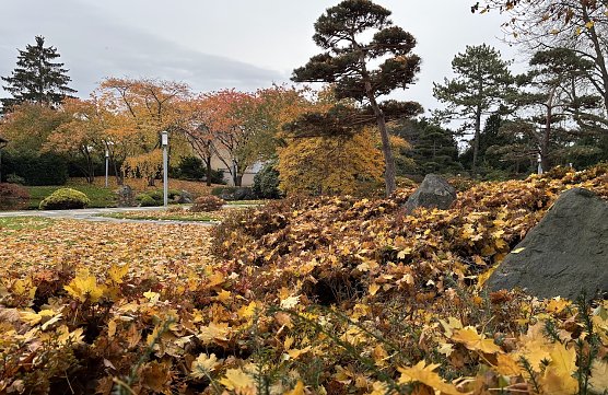 Ab morgen wieder stürmisches Herbstwetter (Foto: oas) Ab morgen wieder stürmisches Herbstwetter (Foto: oas)