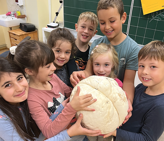 Sch&uuml;lerinnen und Sch&uuml;ler der Klasse 2 staunen &uuml;ber einen Riesenbovist (Foto: Dr. Uta Sophie Halbritter)