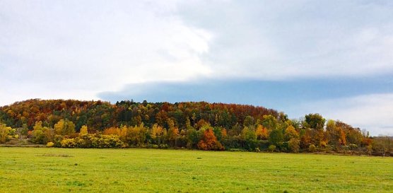 Blick auf den Kohnstein, Archivbild (Foto: emw)