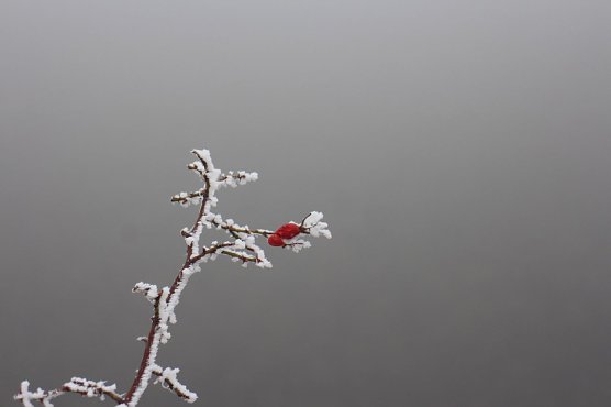 Wetterbild (Foto: agl) Wetterbild (Foto: agl)