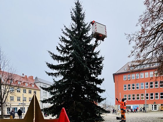 Schm&uuml;cken des Weihnachtsbaums am Rathausplatz (Foto: Stadtverwaltung Nordhausen)