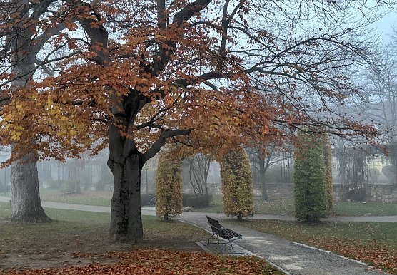 Frost und Gl&auml;tte in den Morgenstunden (Foto: oas)