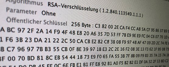 Quellcode (Foto: vgf)