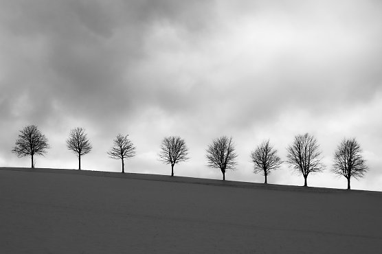 Wetterbild (Foto: EvgeniT/pixabay.com) Wetterbild (Foto: EvgeniT/pixabay.com)