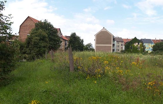 Neben Lidl-Parkplatz (Foto: nnz)