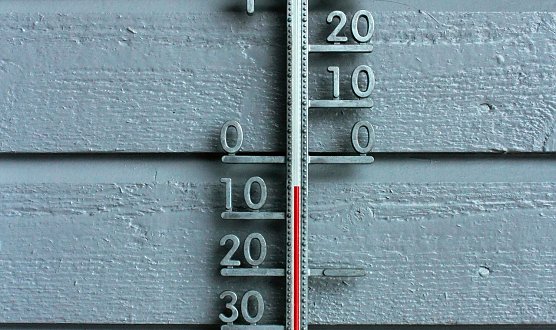 Thermometer (Foto: Elmira Ashirova auf Pixabay)