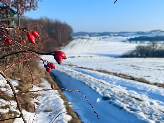Es bleibt auch die nächsten Tage kalt und winterlich. (Foto: ssc) Es bleibt auch die nächsten Tage kalt und winterlich. (Foto: ssc)