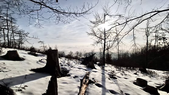Frostiger Sonnentag am Roten Schuss bei Ellrich (Foto: agl) Frostiger Sonnentag am Roten Schuss bei Ellrich (Foto: agl)