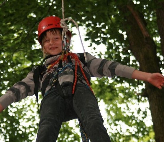 Auf die B&auml;ume... (Foto: psv)