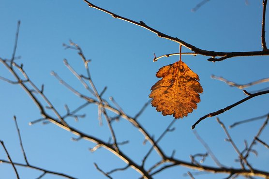Wetterbild (Foto: agl) Wetterbild (Foto: agl)