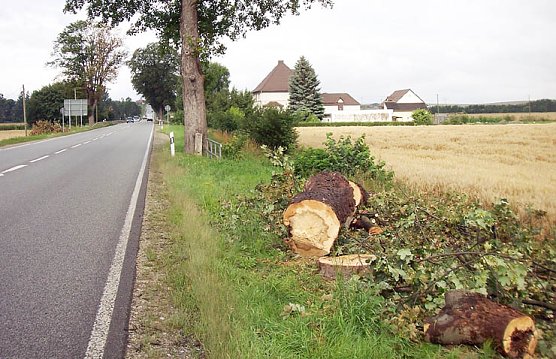 Abges&auml;gt (Foto: Luck)
