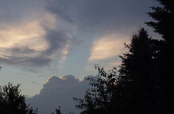 Beobachtet (Foto: nnz)