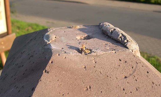 Rohe Gewalt (Foto: nnz) Rohe Gewalt (Foto: nnz)