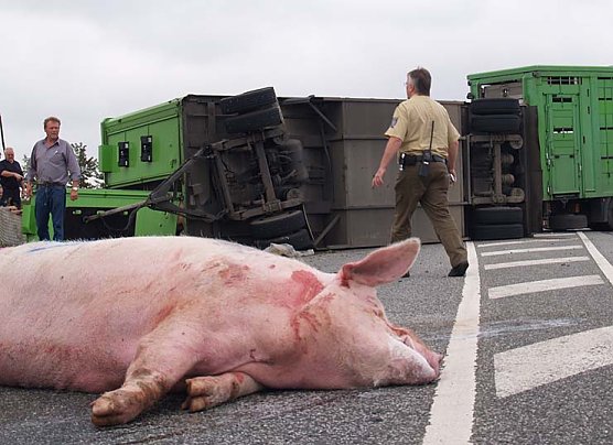 Schwerer Unfall (Foto: nnz)