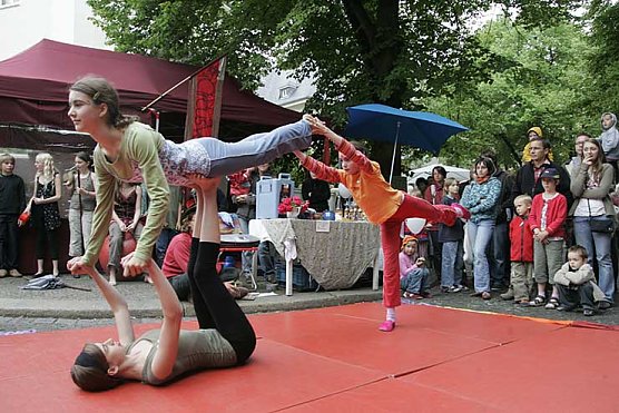 Klatschmohn in Aktion (Foto: Jens Schlüter) Klatschmohn in Aktion (Foto: Jens Schlüter)