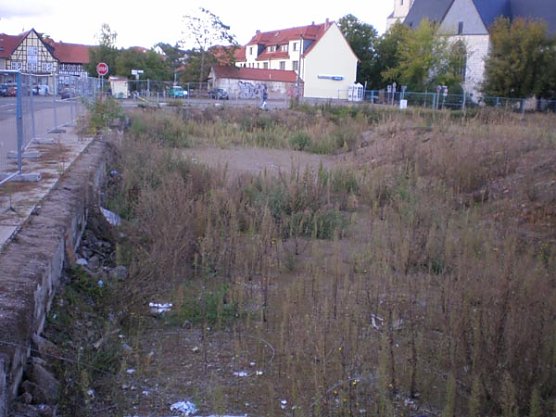 pferdemarkt (Foto: Buntfu&szlig;)