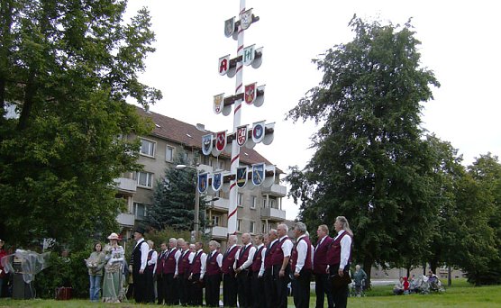 Gewerke am Baum in Bleicherode (Foto: nnz)
