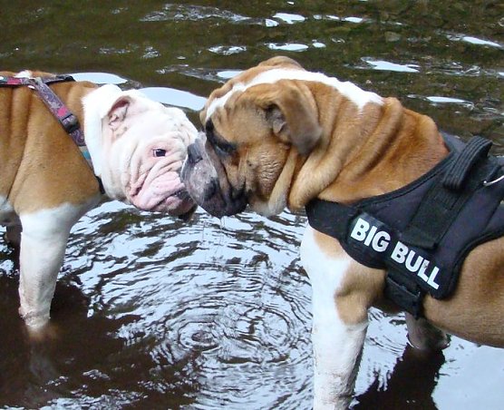 4 von 40 (Foto: S. Witzel) 4 von 40 (Foto: S. Witzel)