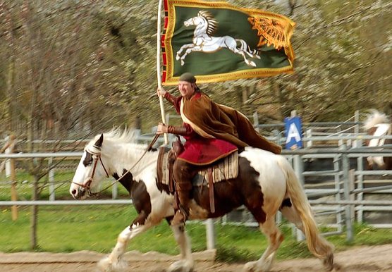 Sch&ouml;ne Pferde (Foto: privat)