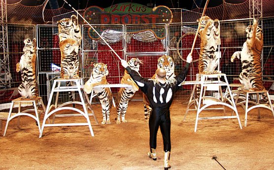 Zirkus Probst (Foto: nnz)